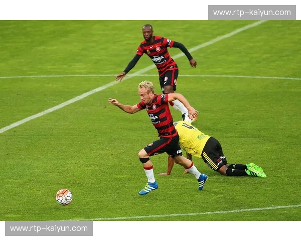 墨尔本胜利vs凤凰：海港的呐喊，凤凰的浴火——一场宿命的对决